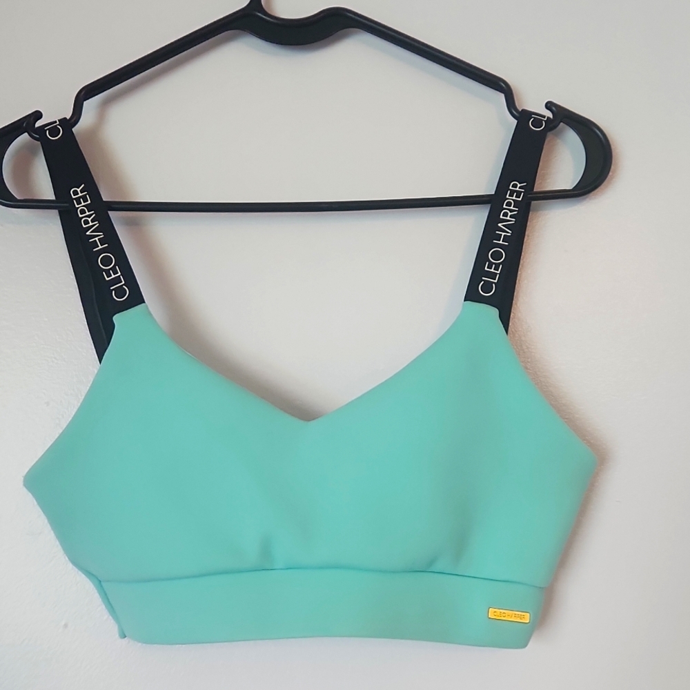 Cleo Harper blue bra